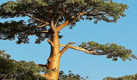 注冊(cè)公司,龍崗注冊(cè)公司,無(wú)地址注冊(cè)公司,公司注冊(cè)代辦,貿(mào)易公司注冊(cè),深圳代理記賬,公司地址掛靠,深圳明天好財(cái)稅